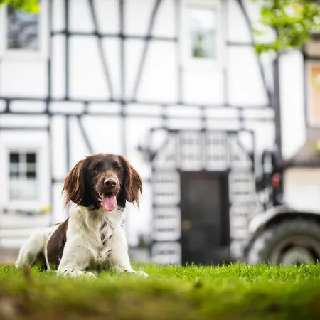 Hof Koehne - Landvergnuegen Rechts Semesterbostad *