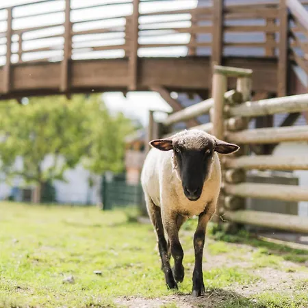 Hof Koehne - Landvergnuegen Rechts