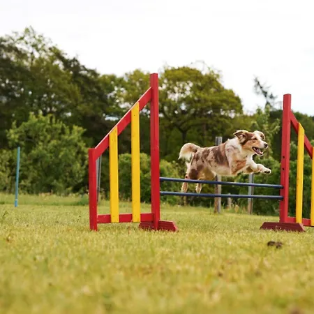 Hof Koehne - Landvergnuegen Rechts * Schmallenberg