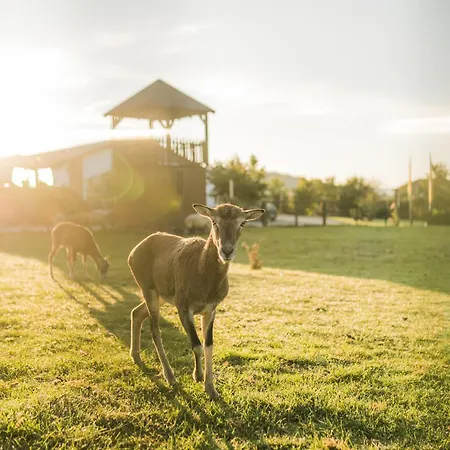 Hof Koehne - Landvergnuegen Rechts