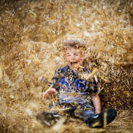 Semesterbostad Hof Koehne - Landvergnuegen Rechts