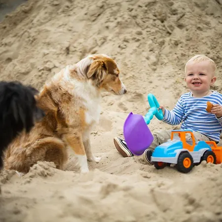 Hof Koehne - Landvergnuegen Rechts Schmallenberg