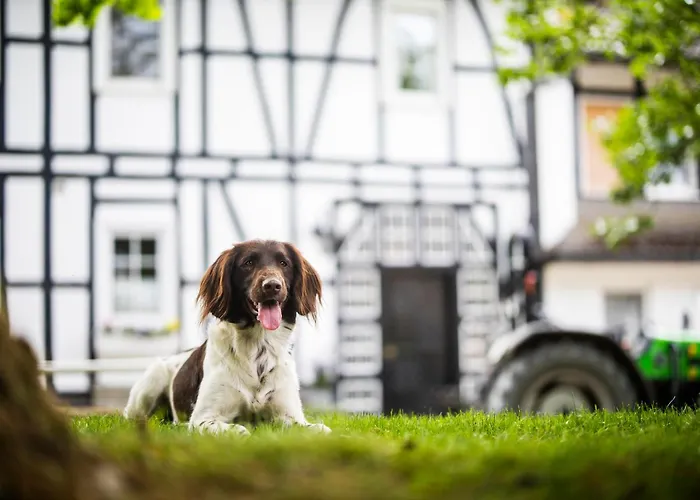 Hof Koehne - Landvergnuegen Rechts Vakantiehuis *