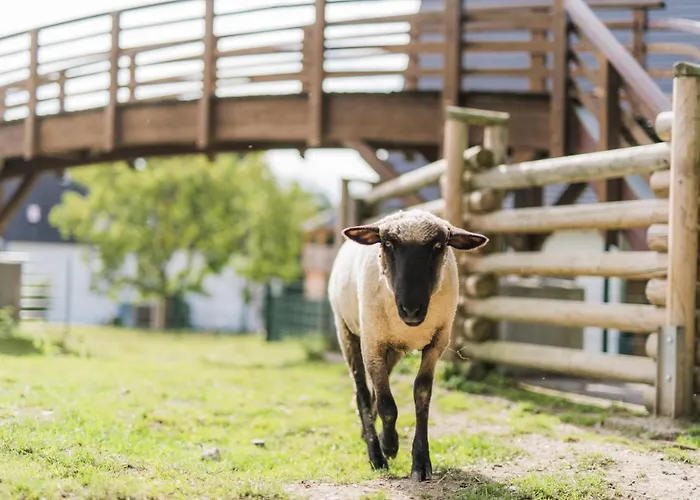 Hof Koehne - Landvergnuegen Rechts
