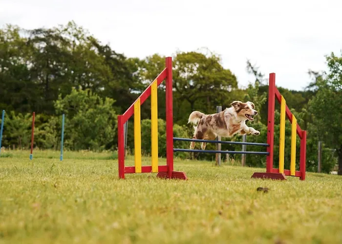 Hof Koehne - Landvergnuegen Rechts * Schmallenberg