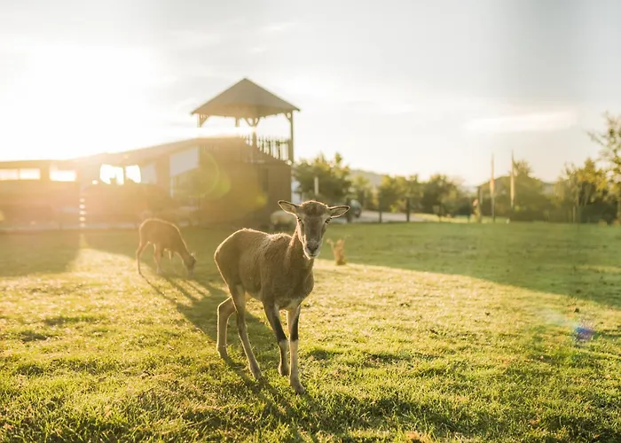 Hof Koehne - Landvergnuegen Rechts