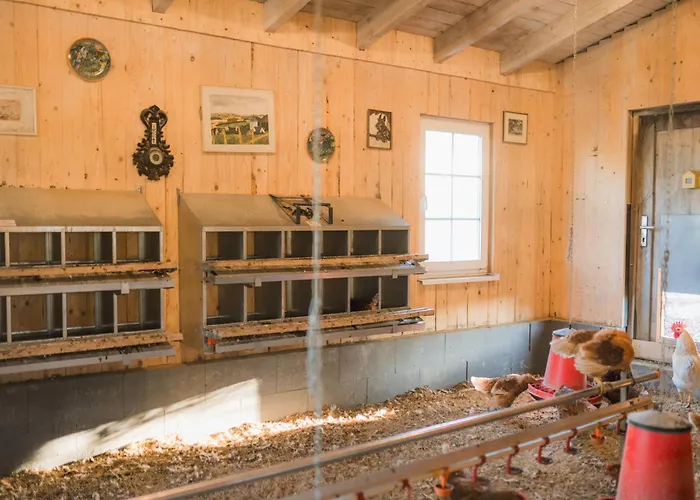 Hof Koehne - Landvergnuegen Rechts Vakantiehuis